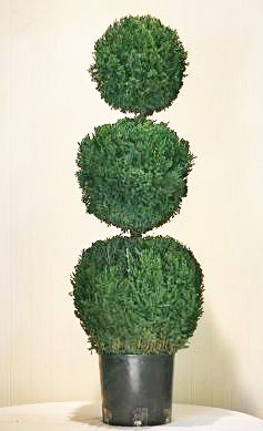 fake topiary