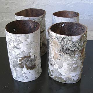 One Case of Birch Tubes