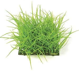 10 inch   Plastic Wild Grass Mat (Light Green)