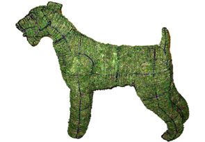 Airedale, 32 inch (Mossed) 32 inch  x 42 inch  x11 inch