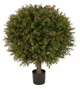 24 Inch Small Ultraviolet (UV) Wintergreen Boxwood Ball Topiary