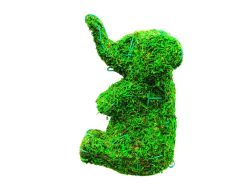 Elephant Frame Topiary with Moss 16 inches tall
