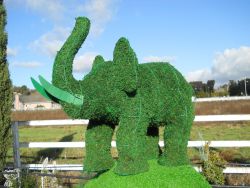 Elephant Frame Topiary with Moss 17 inches tall
