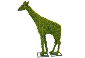 Giraffe, 168 inch  (Mossed) 168 inch x111 inch x40 inch