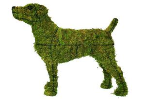 Jack Russell, 14 inch  (Mossed) 14 inch  x 22 inch  x 7 inch