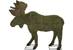 Moose, 60 inch  (Mossed) 60 inch  x 66 inch  x 37 inch