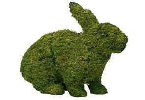 Rabbit, Hopping, 13 inch  (Mossed) 13 inch  x 17 inch  x 7 inch