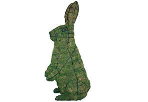 Rabbit, Sitting Upright, 13 inch  (Mossed) 13 inch  x 7 inch  x 4 inch