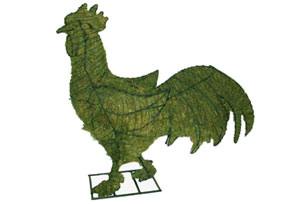 Rooster, 29 inch  (Mossed) 29 inch  x 29 inch  x 10 inch