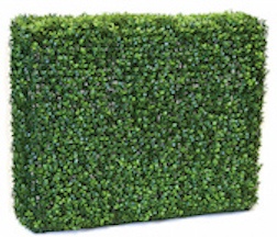 Boxwood Hedge 35 and 11 and 30 inch Ultraviolet (UV)