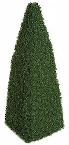 4 foot Boxwood Pyramid Topiary Hedge with 4308 Tips