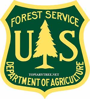 Forest Service Official Logo