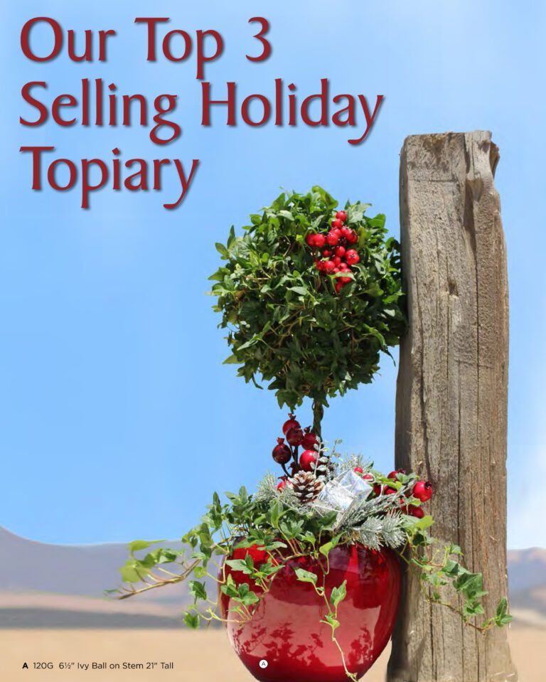 Live Ball Christmas Topiary Top Seller!