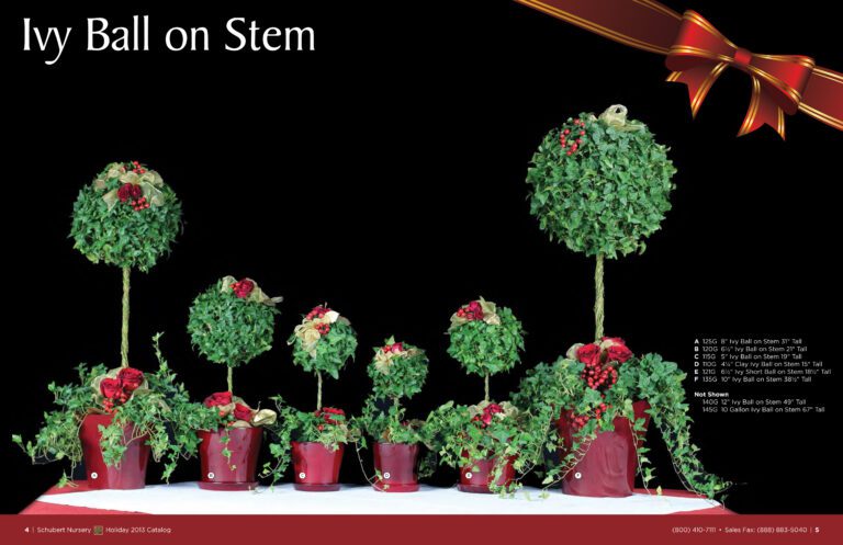 Live Ball Christmas Topiaries – the complete family!!