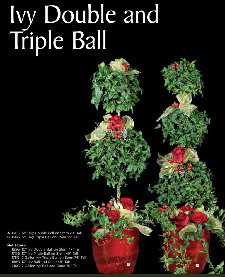 Live Ivy Double & Triple Ball Christmas Topiary