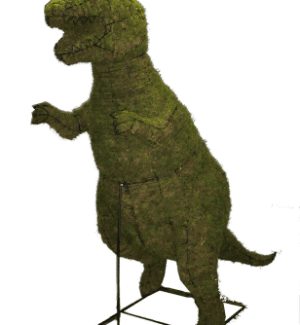 Topiary Tyrannosaurus - Rex | TOPIARYTREE.NET