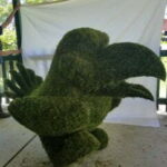 Moss-covered Jayhawk topiary with spread wings displayed on a covered patio