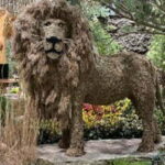 A lion topiary with a shaggy, tan-brown coat, displayed outdoors among flowering plants.