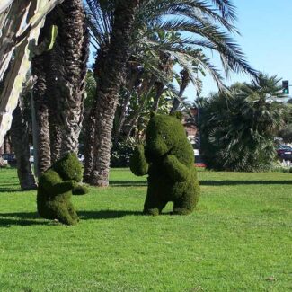 Topiary Bears | TOPIARYTREE.NET