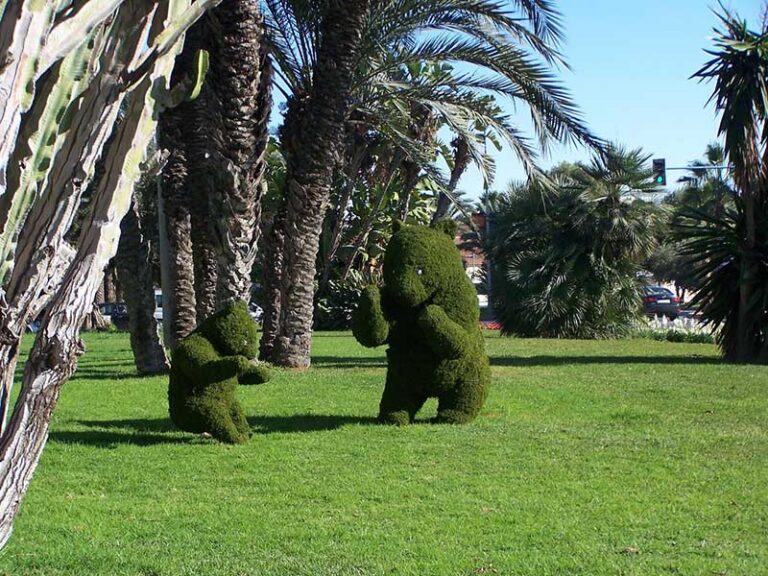 Two bear-shaped topiaries sitting on grass under palm trees, a closer view of the same park scene