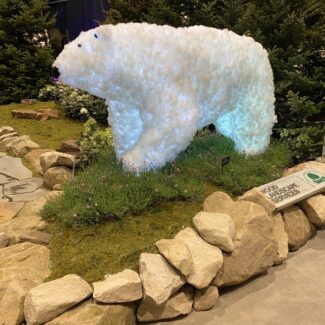 Topiary Polar Bear | TOPIARYTREE.NET