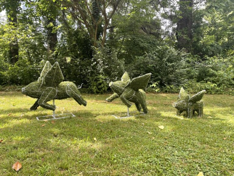 Three moss-covered flying pig topiary shapes on metal stands, medium-distance garden view