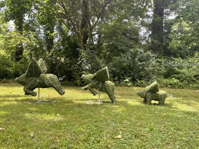 Three moss-covered flying pig topiaries in the garden, alternate angle showing leaping poses