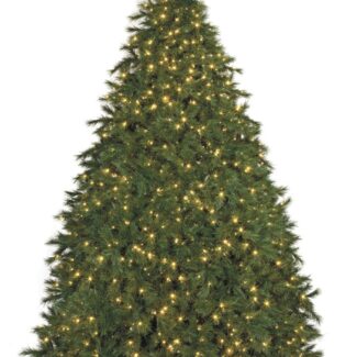 12 foot Commercial Pine Tree with 2300 LED Seal Lights