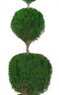 Preserved Triple Ball Topiary 30 inch | TOPIARYTREE.NET