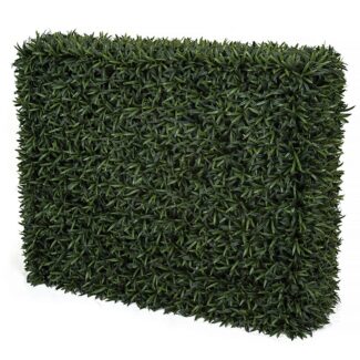 Podocarpus Polyblend Outdoor Hedge 7 Inch L x 14 Inch W x 30 Inch H | TOPIARYTREE.NET