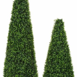 Outdoor 4 foot Cone Boxwood Topiary