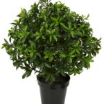 Round, dense artificial sweet bay bush with small glossy green leaves in a black plastic pot.