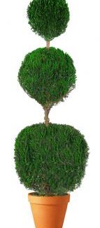 Preserved Triple Ball Topiary 40 inch | TOPIARYTREE.NET