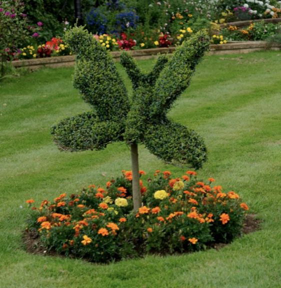 A leafy hedge butterfly topiary on a stem, in a garden bed of marigolds.