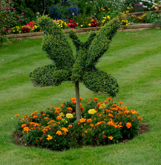 A leafy hedge trimmed into a butterfly shape on a stem, in a garden bed of orange and yellow marigolds.