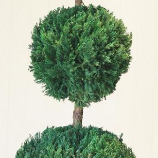Preserved Triple Ball Topiary 60 inch | TOPIARYTREE.NET
