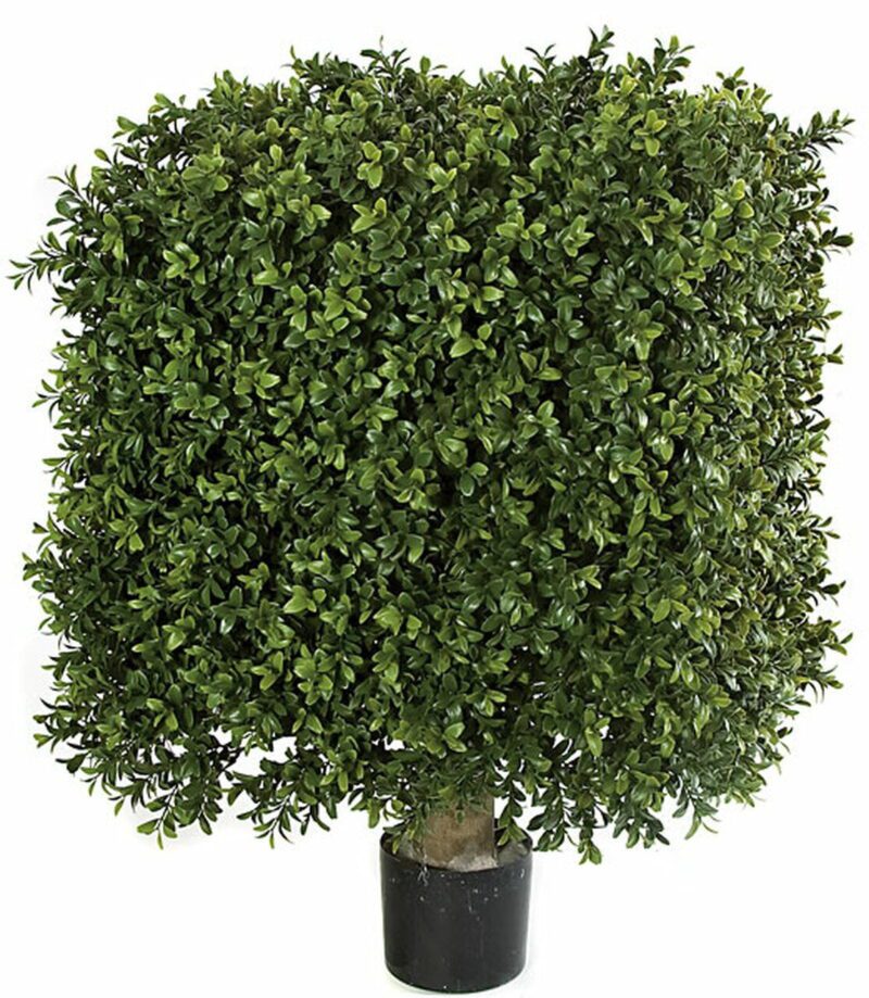 18-18-Inches-x-25-Inches-Large-UV-Boxwood-Square-Topiary-1