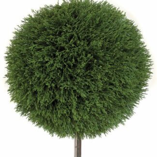 24 inch diameter Ultraviolet Cedar Ball Topiary | TOPIARYTREE.NET