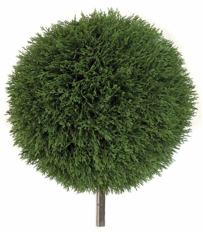 18-INCH-OR-24-INCH-UV-CEDAR-BALL-TOPIARIES-1