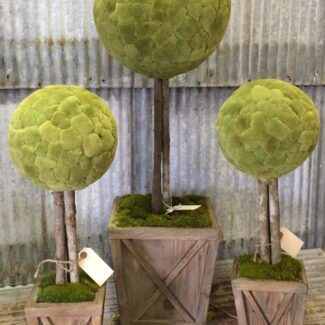 Preserved Cattail Ball Topiary Large | TOPIARYTREE.NET