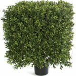 Square-clipped artificial boxwood shrub in a black pot on a white background