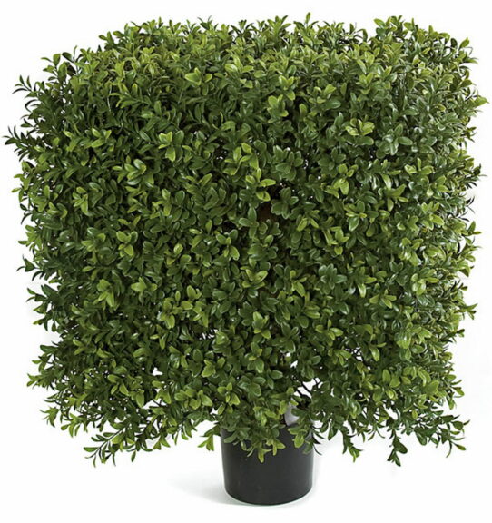 Square-clipped artificial boxwood shrub in a black pot on a white background