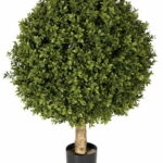 Round boxwood topiary ball on a natural wood trunk, in a black pot