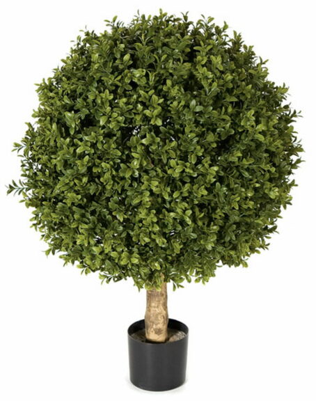 Round boxwood topiary ball on a natural wood trunk, in a black pot