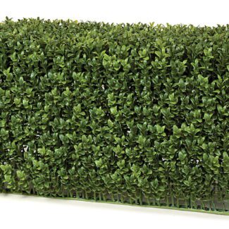 Boxwood English Hedge 23 inch Long and 11 inch Width and 12 inch | TOPIARYTREE.NET