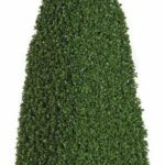 Artificial boxwood pyramid topiary on a plain background, tapering to a point