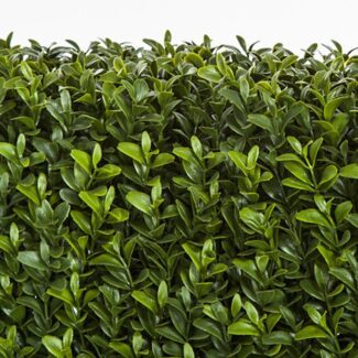 48 Inch nd  8 Inch and 65 Inch Ultraviolet (UV) Boxwood Hedge | TOPIARYTREE.NET