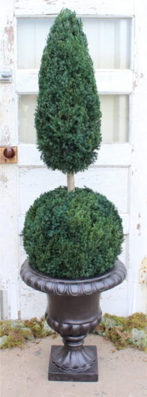 Preserved juniper topiary with a cone above a ball on a bare stem, standing in a dark urn