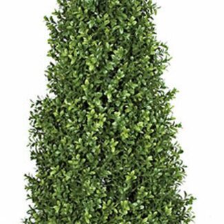 52 Inch Ultraviolet (UV) Rated Boxwood Pyramid Topiary | TOPIARYTREE.NET