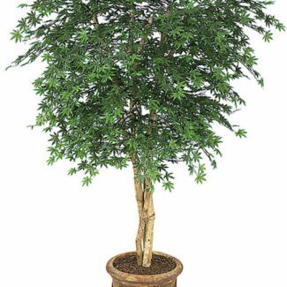 6 Foot Polyblend Japanese Maple Tree with green foliages | TOPIARYTREE.NET